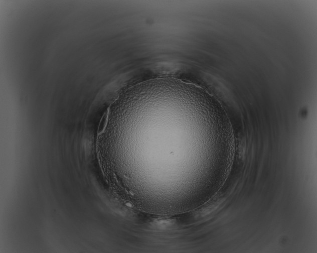 X0000093500283200710191255