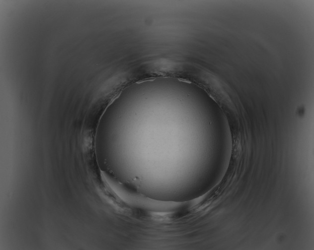 X0000093500284200710191255