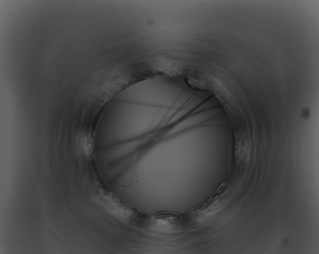X0000093500285200710191255