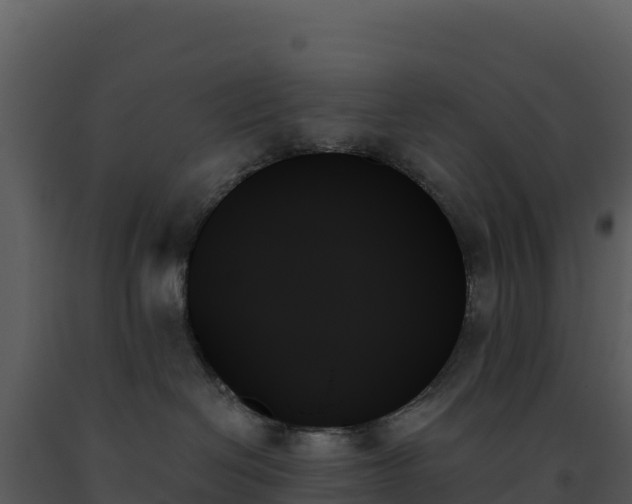 X0000093500286200710191255