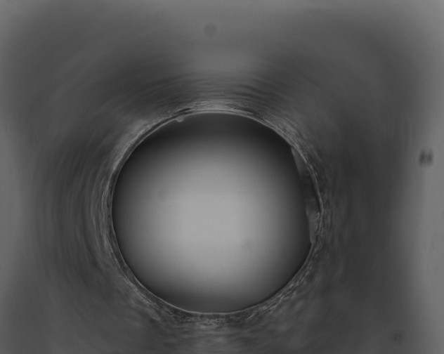 X0000093500289200710191254