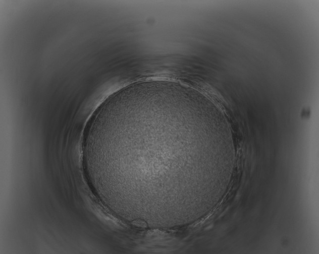 X0000093500290200710191254