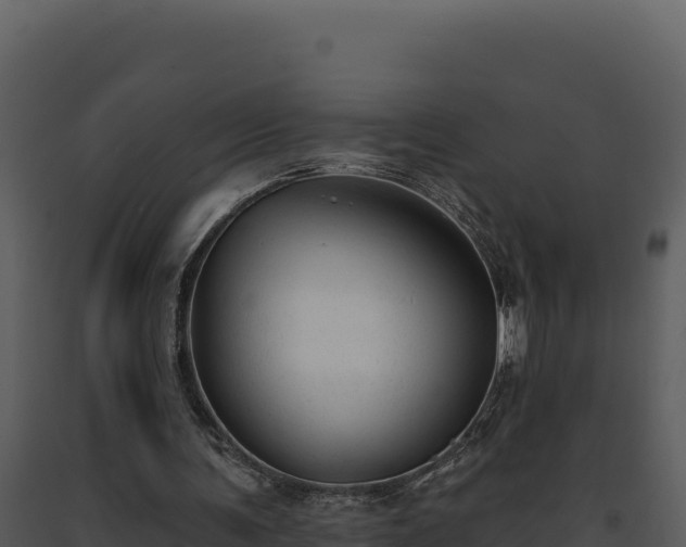 X0000093500291200710191254