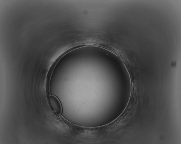 X0000093500292200710191254