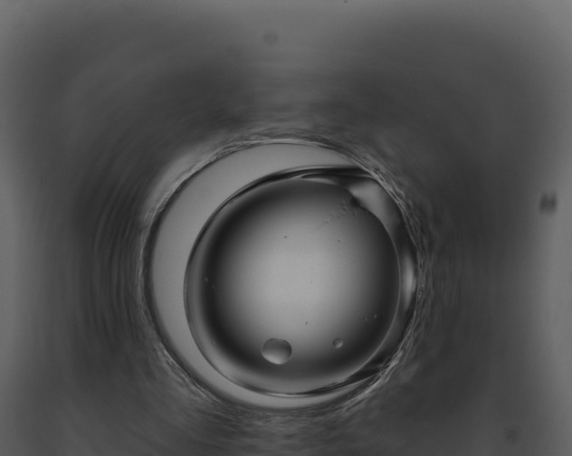 X0000093500293200710191254