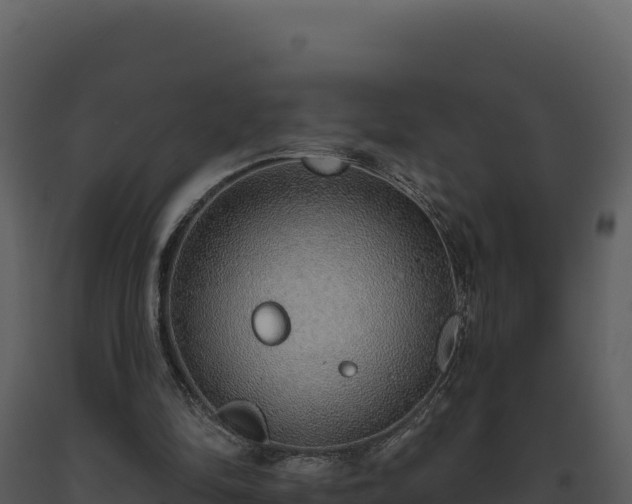 X0000093500294200710191254