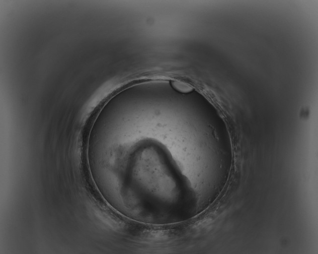 X0000093500295200710191254