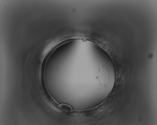 X0000093500296200710191254
