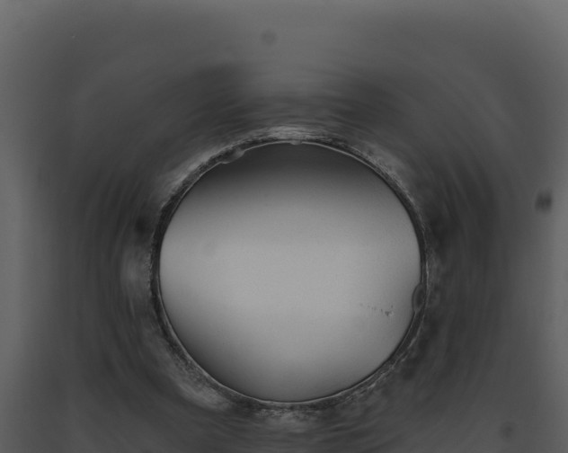 X0000093500297200710191254