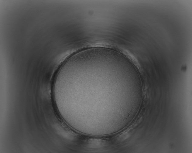 X0000093500298200710191254
