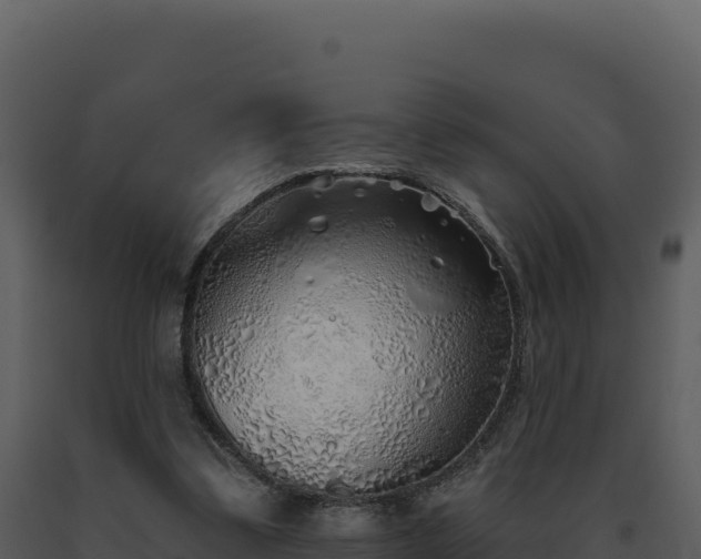 X0000093500299200710191254