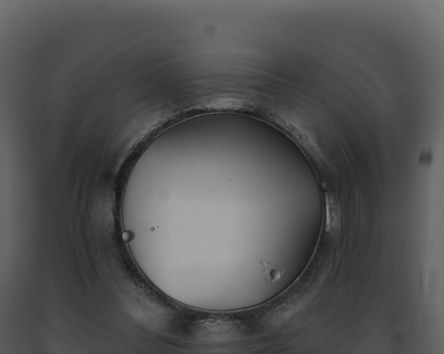 X0000093500300200710191254
