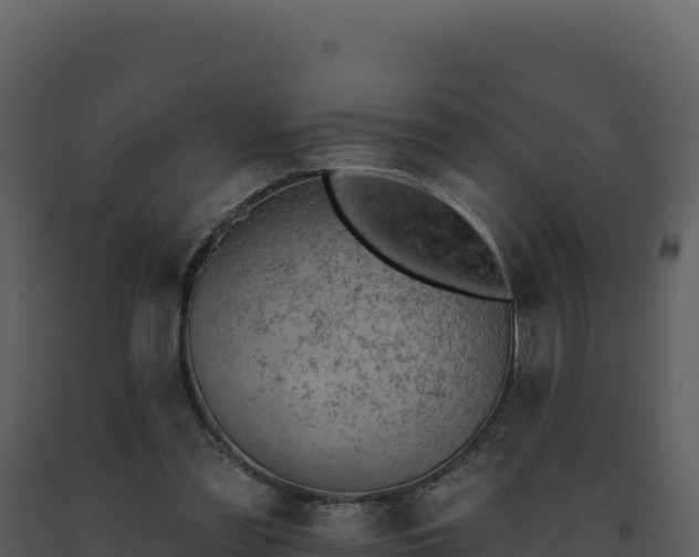 X0000093500301200710191254
