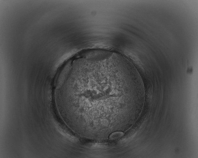 X0000093500303200710191254