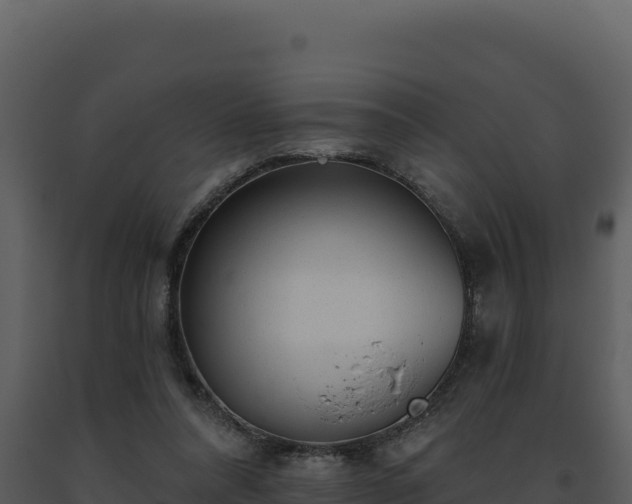 X0000093500304200710191254