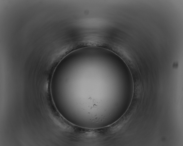 X0000093500310200710191254