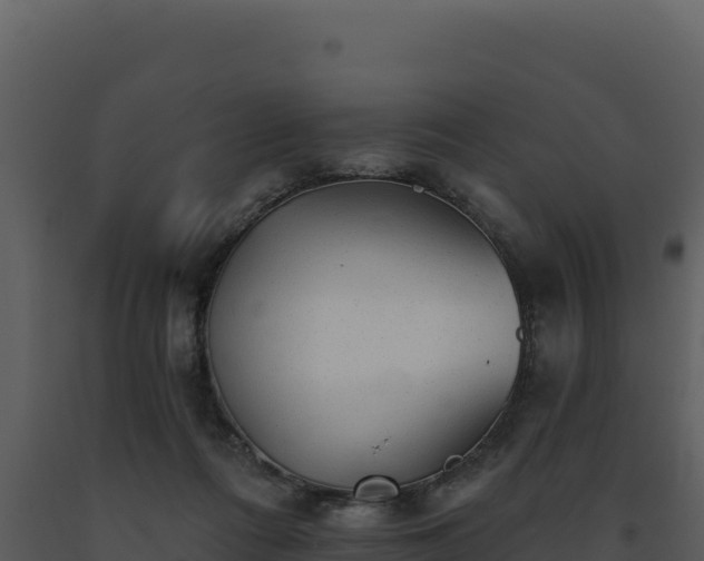 X0000093500312200710191254