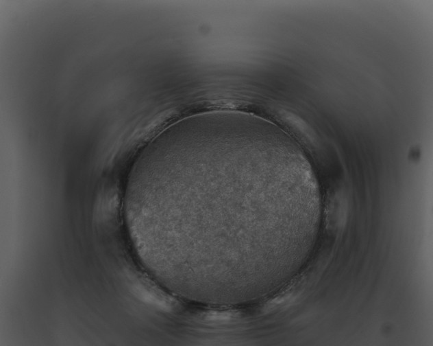 X0000093500314200710191254