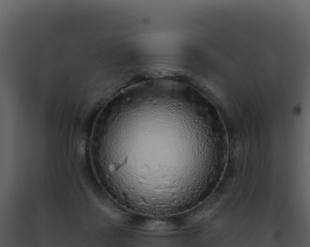 X0000093500315200710191254