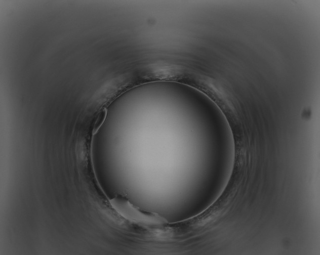 X0000093500317200710191254