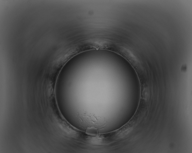 X0000093500318200710191254