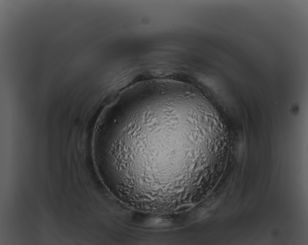 X0000093500319200710191254