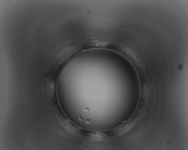 X0000093500321200710191254