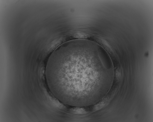 X0000093500322200710191254