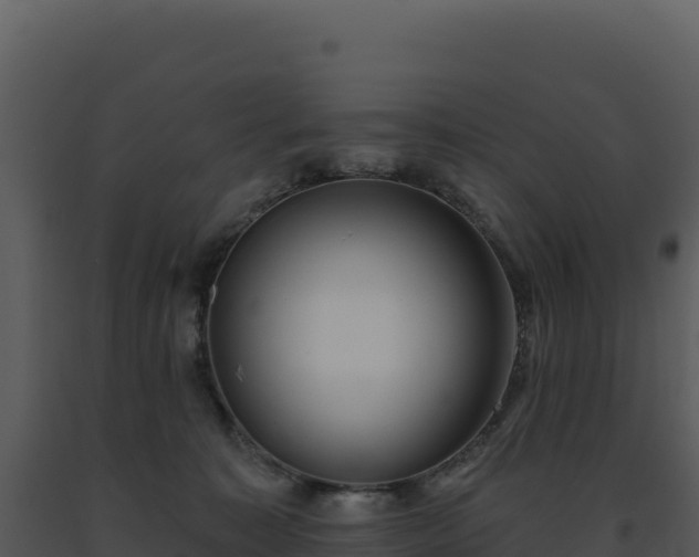 X0000093500323200710191254