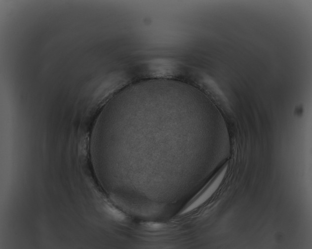 X0000093500325200710191254