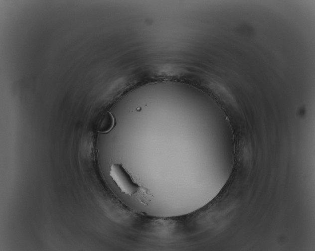 X0000093500328200710191254