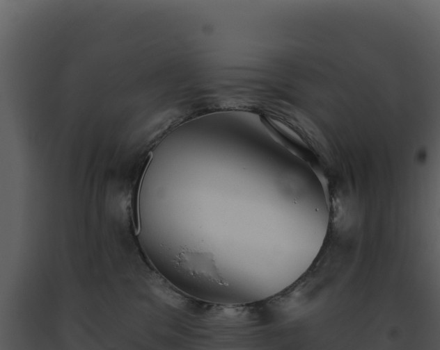 X0000093500329200710191254