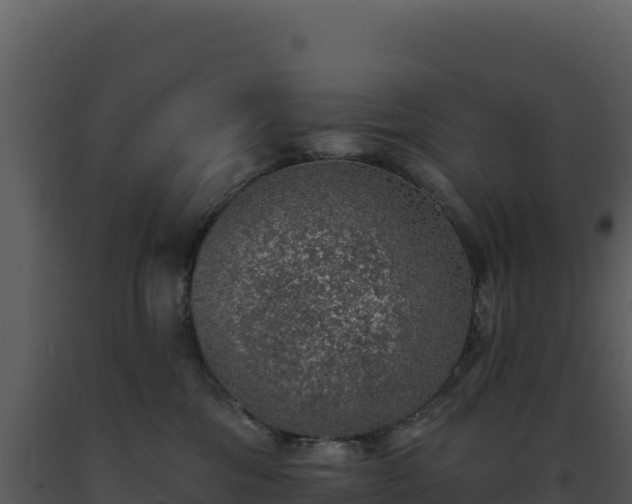 X0000093500330200710191254