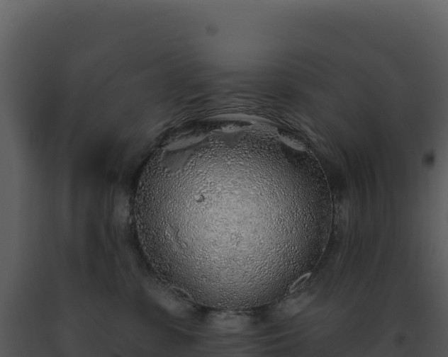 X0000093500331200710191254