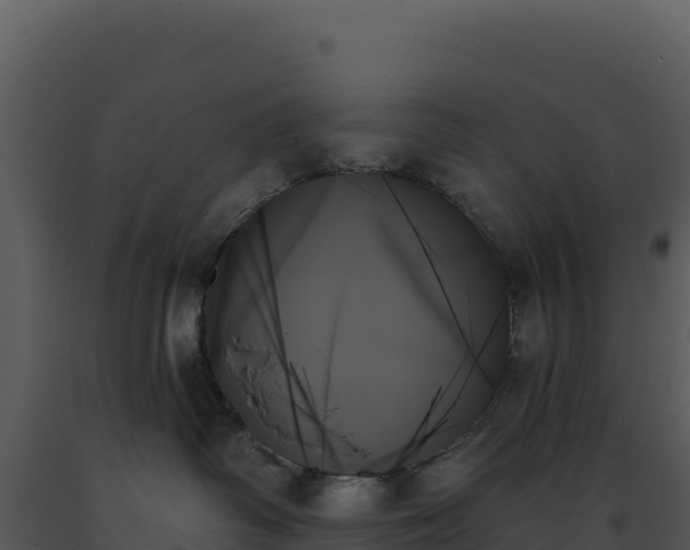 X0000093500334200710191254