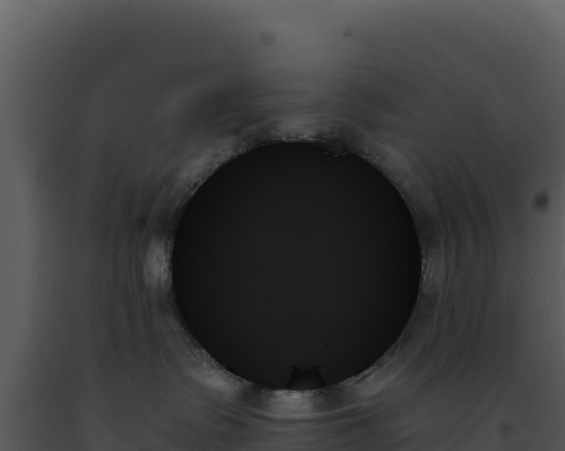 X0000093500335200710191254