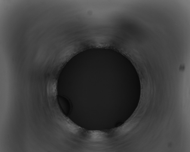 X0000093500336200710191254