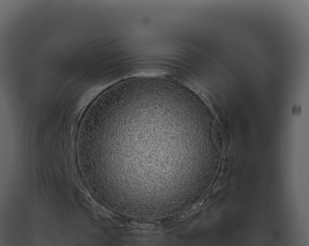 X0000093500337200710191253