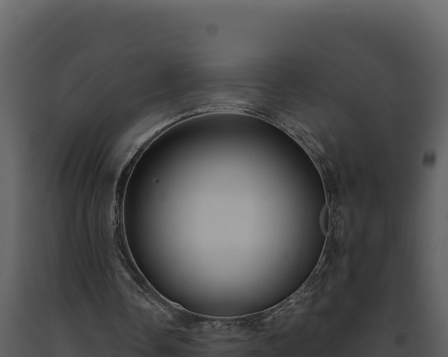 X0000093500338200710191253
