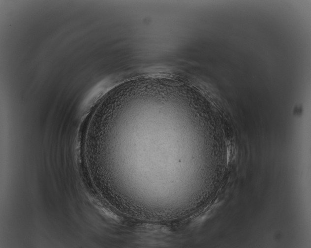 X0000093500339200710191253