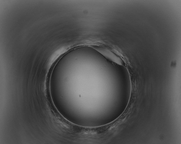 X0000093500340200710191253