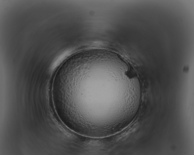 X0000093500341200710191253