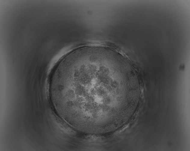 X0000093500343200710191253
