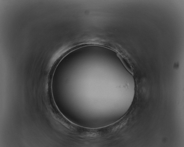 X0000093500344200710191253