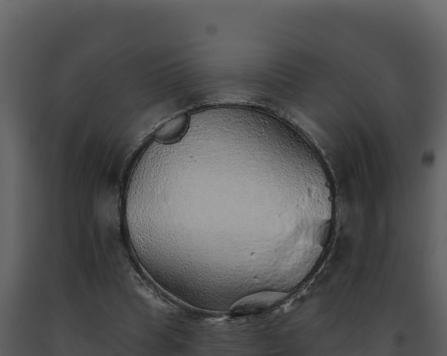 X0000093500345200710191253