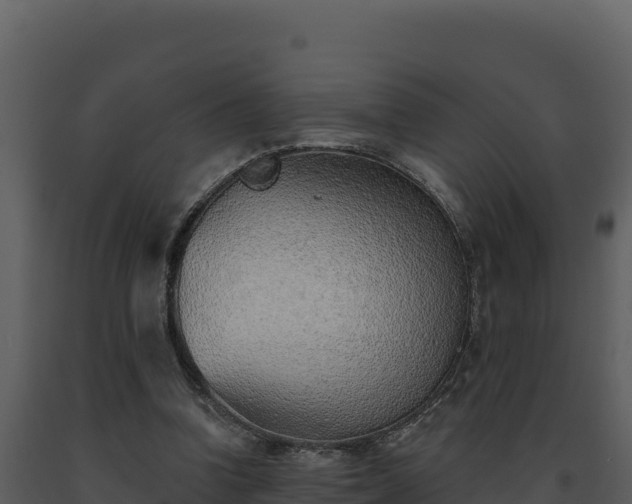 X0000093500346200710191253