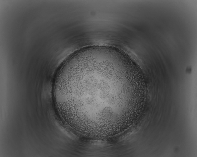 X0000093500347200710191253