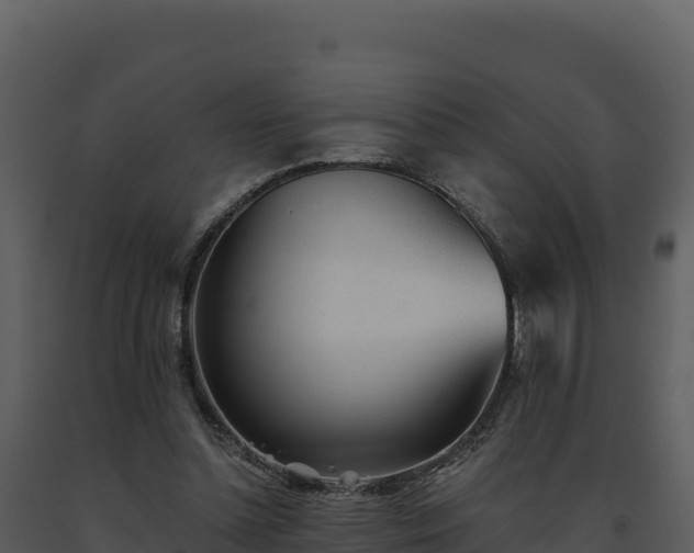 X0000093500348200710191253
