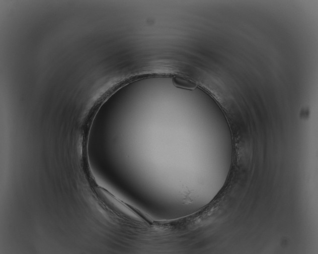 X0000093500350200710191253
