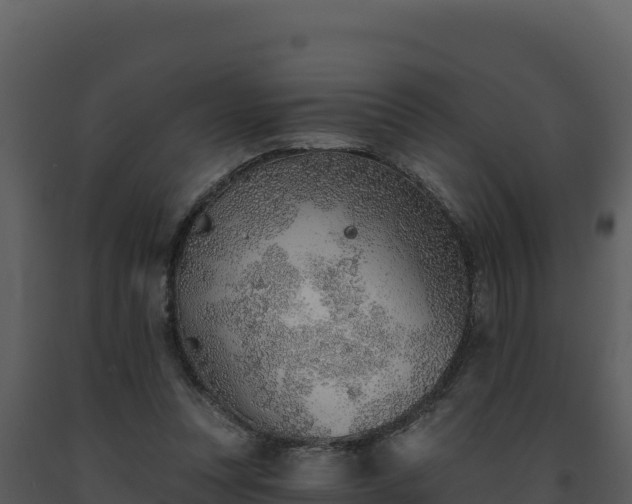 X0000093500351200710191253